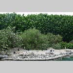 a21zoo-20210709_143604