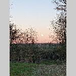 a21avt-PXL_20211218_160702713