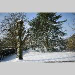 a21fev-DSC_0826