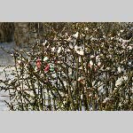 a21fev-DSC_0829