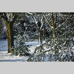 a21fev-DSC_0832
