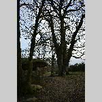 a21raf-DSC_0812