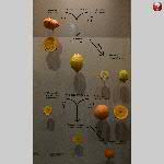 a21j2-20211101_160656