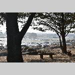 a21di-20210228_123019
