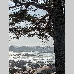 a21di-20210228_123217