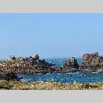a21di-20210228_161603