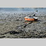 a21lu-20210301_152720
