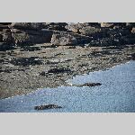 a21lu-20210301_154118