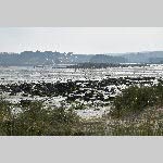 a21ma-20210302_120508