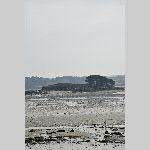 a21ma-20210302_120715