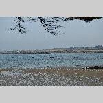 a21ma-20210302_121243