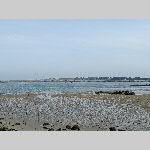 a21ma-20210302_121447