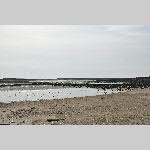 a21ma-20210302_142204