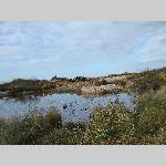 a21me-20210303_165448