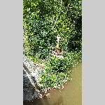 a21aix-20210618_171559
