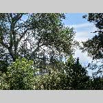 a21avgnon-20210611_133035