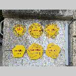 a21avgnon-20210611_193127