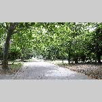 a21avgnon-20210617_131051