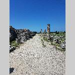 a22j11-20220516_120136