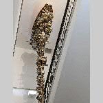 a22j2-20220507_174106