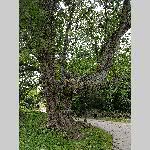 a22erd-20220703_153419