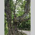 a22erd-20220703_153527