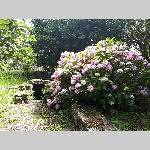 a22erd-20220703_154551