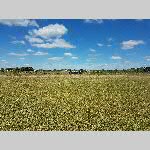 a22erd-20220706_150513
