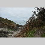 a22rv-DSC_0409
