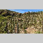a22ba-PXL_20220927_104115013-MP