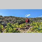 a22ba-PXL_20220927_104413753-MP