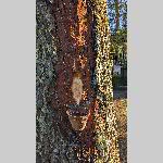 a22yx-PXL_20220920_170756818