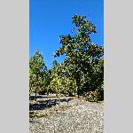 a22yx-PXL_20220921_130846473