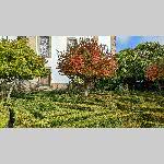 a22d01-PXL_20221101_112625748