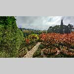 a22d01-PXL_20221101_112728544