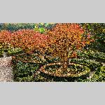 a22d01-PXL_20221101_112750966