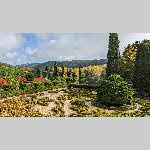 a22d01-PXL_20221101_113115587