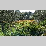 a22d01-PXL_20221101_113414423