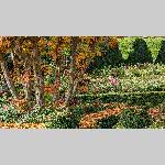 a22d01-PXL_20221101_113433471