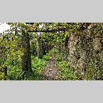 a22d01-PXL_20221101_113750127