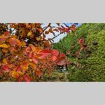 a22d01-PXL_20221101_114550411