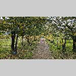 a22d01-PXL_20221101_114910364