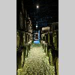 a22d29-PXL_20221029_122059144-NIGHT