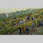 a22d29-PXL_20221029_122407577-PORTRAIT