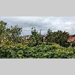 a22d29-PXL_20221029_130609018