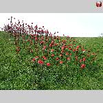 a22laac-20220419_132313