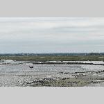 a22monik-20220404_134220