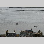 a22monik-20220404_134611