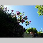 a22plran-20220528_120140
